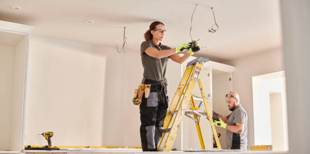 Best Electric Panel Repair  in Wellington, CO